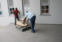 NAAM lo kuida estatua di St. Thomas College