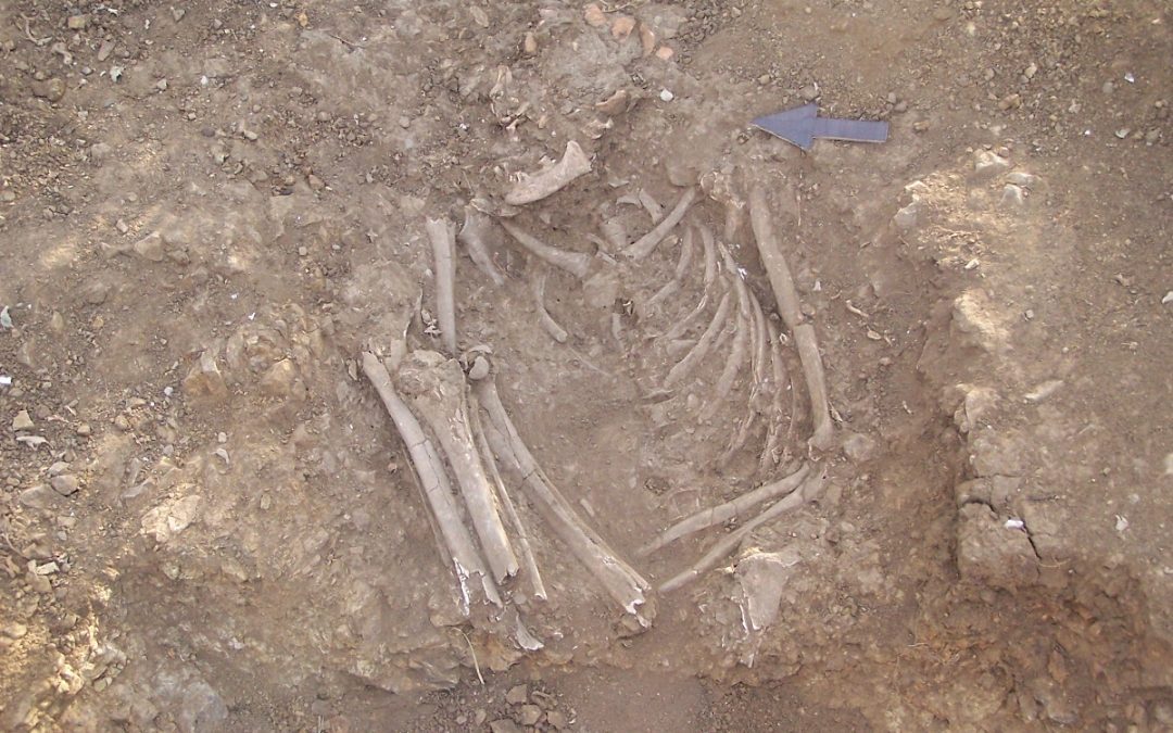 Bijzondere vondsten tijdens archeologisch onderzoek op de Savaan