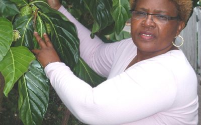 Medisina di yerba den Karibe, Uso di remedi di kas na Saba