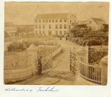 Eternisá, Portrèt di e kolekshon karibeño di Fraternan di Tilburg