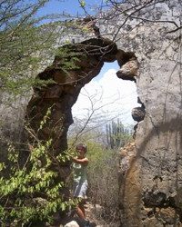 Fontein, di plantashi, kampo di bataya, te proyekto pa desaroyo